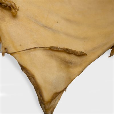 Beef (Steer) Sinew.