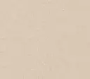 Canvas Untreated