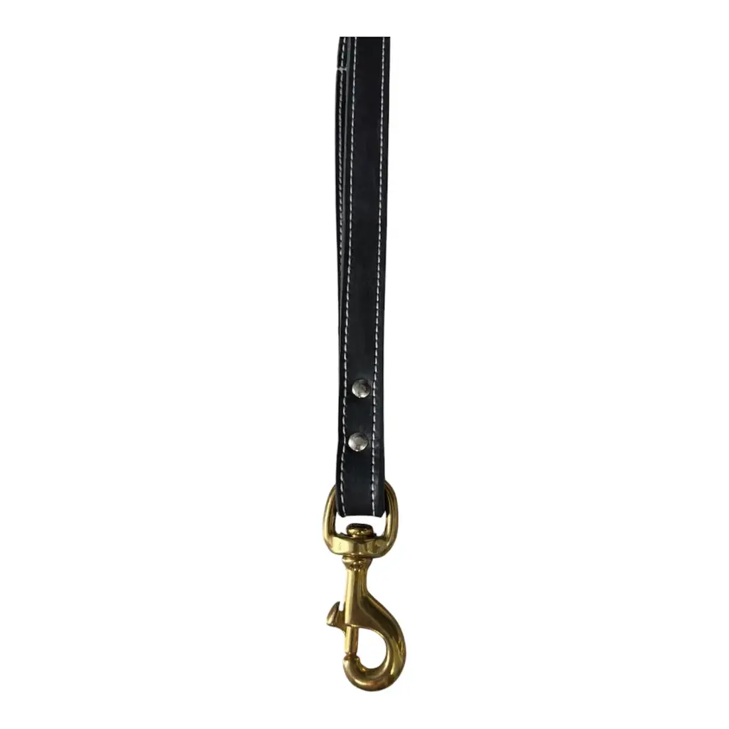 Dog Control Handle Double Leather  3/4 x 1/2, Nickel Snap Hook.
