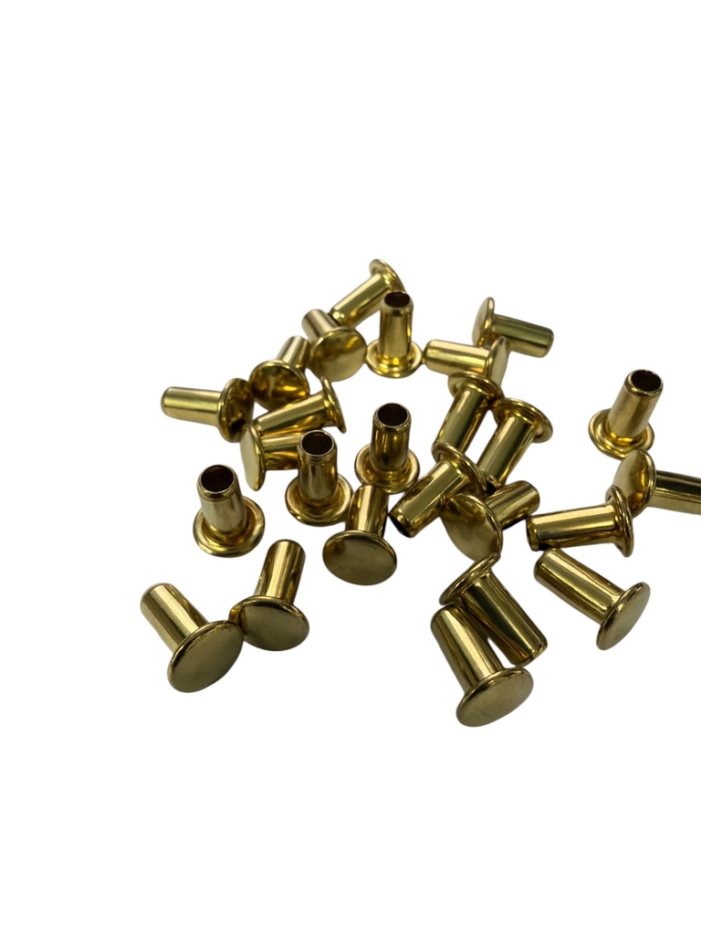 RIVET AUTO-PERFORANT R 3/8 OR SUR ACIER (1000)