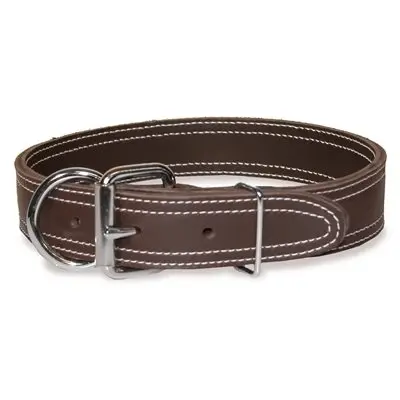 Collier Pour Chien Cuir Latigo double 1-1/2".