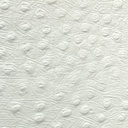 Cuirs de vache façon autruche