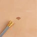 Shell Tile Brass Stamp