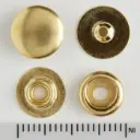 Plated snap, Tandy Leather.