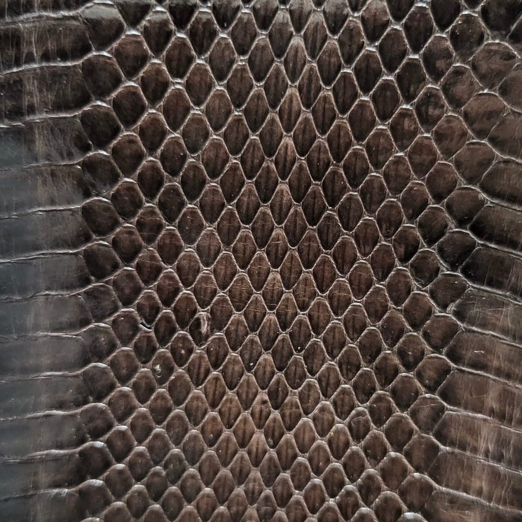 Peau de Cobra Véritable | Stock d'Archive & Fin de Lot