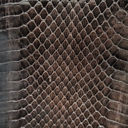 Genuine Cobra Skin | Vintage Deadstock Batch