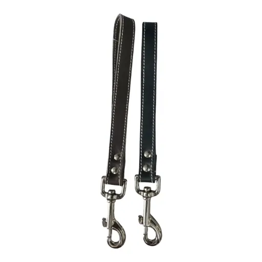 Dog Control Handle 3/4 Leather , Nickel Carabiner.