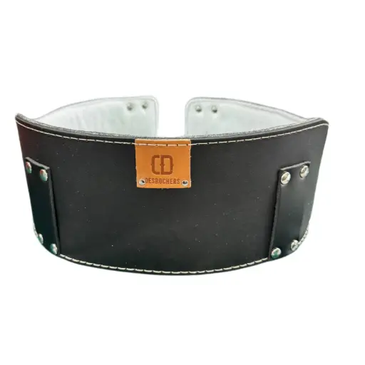 M12 Support lombaire. (M12-S)